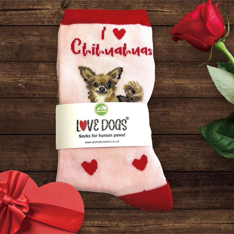 Ladies Chihuahua LOVE DOGS socks with cute dog image and hearts design, one size, quality cotton mix, novelty dog lover gift