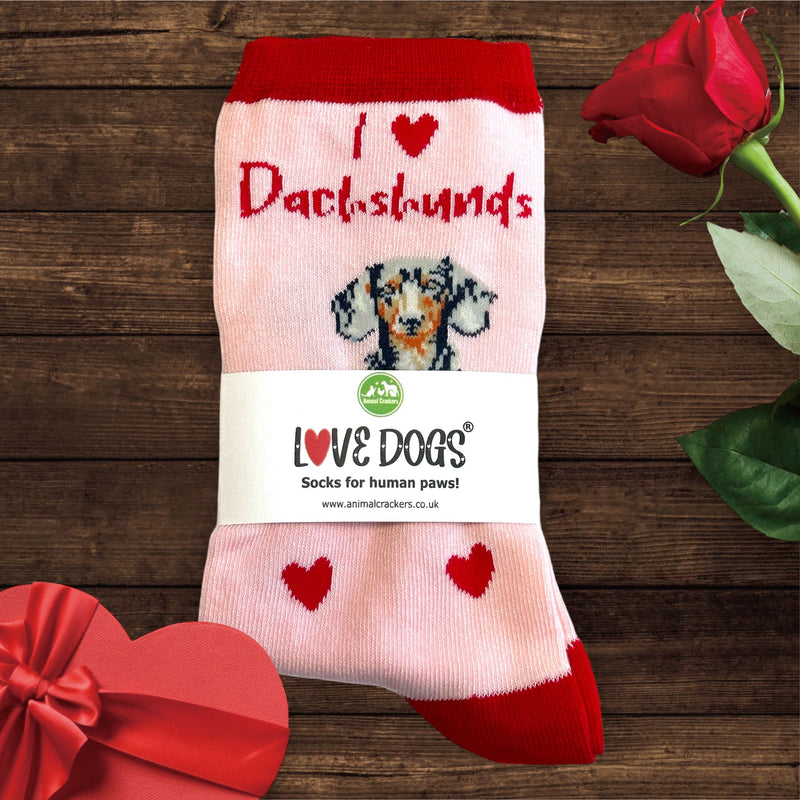 Ladies Dachshund LOVE DOGS socks with cute dog image and hearts design, one size, quality cotton mix, novelty dog lover gift