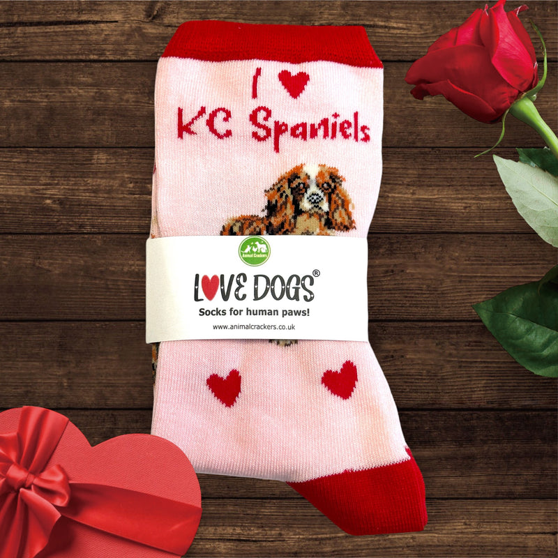 Ladies King Charles Spaniel LOVE DOGS socks with cute dog image and hearts design, one size, quality cotton mix, novelty dog lover gift