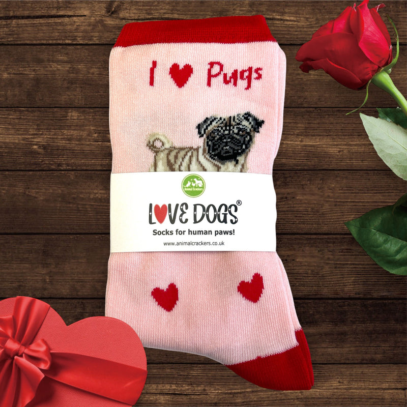 Ladies Pug LOVE DOGS socks with cute dog image and hearts design, one size, quality cotton mix, novelty dog lover gift