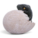 Raptor's Dawn' Raptor Dinosaur Hatching From Egg, 10cm