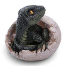 Raptor's Dawn' Raptor Dinosaur Hatching From Egg, 10cm