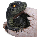 Raptor's Dawn' Raptor Dinosaur Hatching From Egg, 10cm