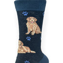 Women's Golden Retriever, lovely vibrant colours, soft combed cotton, one size