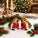 Robins Design Ceramic Salt & Pepper Shaker Set, Gift Boxed