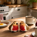 Robins Design Ceramic Salt & Pepper Shaker Set, Gift Boxed