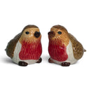 Robins Design Ceramic Salt & Pepper Shaker Set, Gift Boxed
