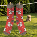 Women's Shih Tzu Socks, lovely vibrant colours, soft combed cotton, one size