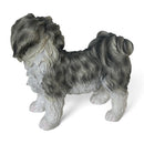 Grey Shih Tzu ornament figurine quality realistic Leonardo range. Gift boxed.