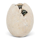 'Wyrmlings First Light ' Baby Dragon Hatching From Egg, 12cm