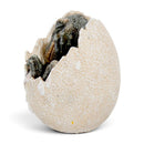 'Wyrmlings First Light ' Baby Dragon Hatching From Egg, 12cm