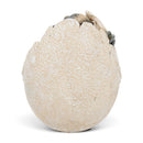 'Wyrmlings First Light ' Baby Dragon Hatching From Egg, 12cm