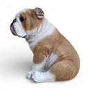 Realistic sitting English Bulldog figurine, height 20cm