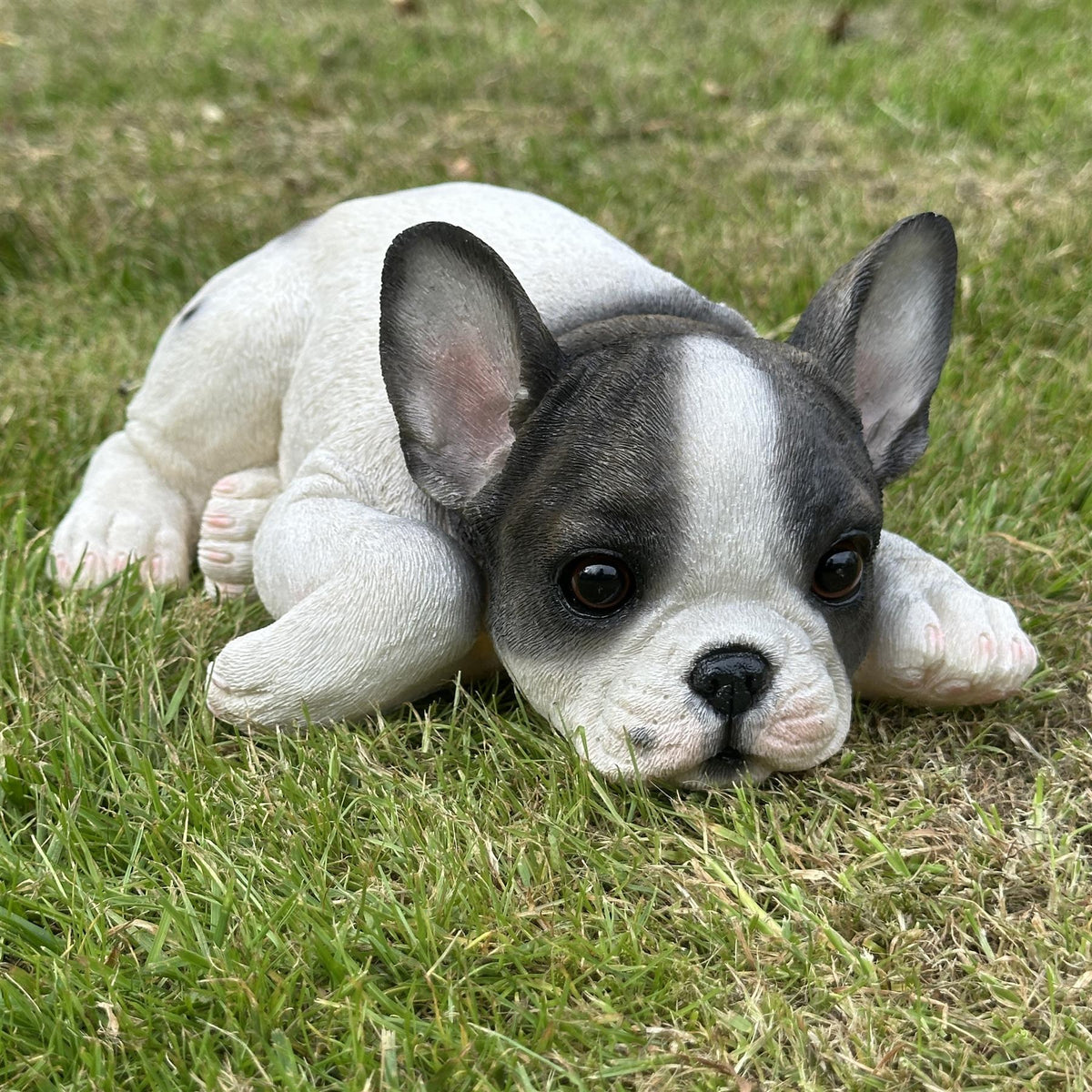 Realistic Black White laying French Bulldog figurine home or garden