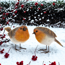 Robin figurine, cute home or garden decoration, memorial or bird lover gift, 10cm