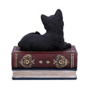 Black Cat On Witches Spell Book Figurine Witch Lover Decoration