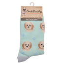 Ladies Cockapoo Socks, lovely vibrant colours, soft combed cotton, one size