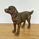 Labrador Dog figurine, Leonardo Reflections Bronzed, gift boxed