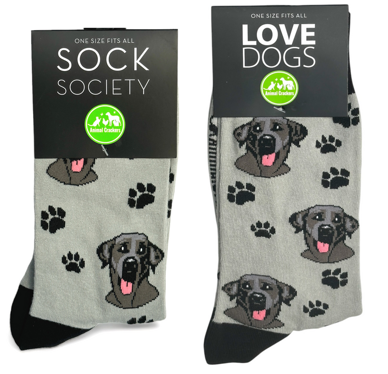 Animal Crackers Black Labrador design socks, quality cotton mix, Women's or Men's sizes