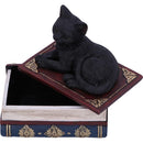 Black Cat On Witches Spell Book Figurine Witch Lover Decoration