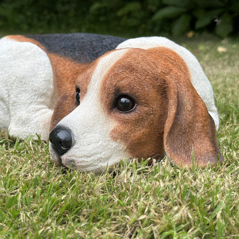Large realistic laying Beagle Dog figurine home or garden decoration, pet loss gift or memorial