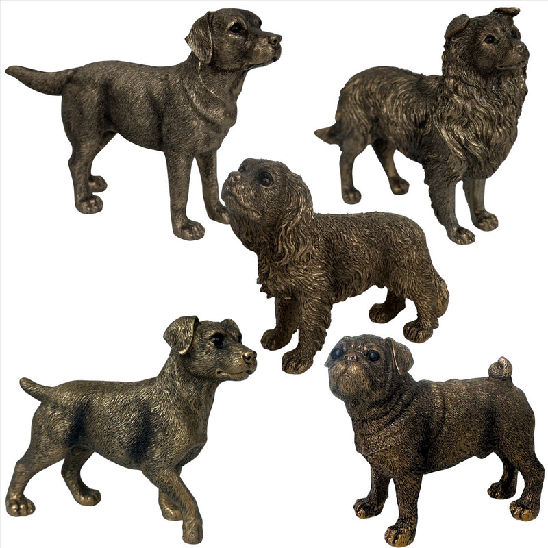 Pug Dog figurine, Leonardo Reflections Bronzed, gift boxed