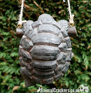 Swinging Tortoise on rope hanging garden decoration