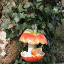 Vivid Arts Hanging Apple Bird Feeder - Red Apple with Robin