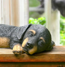 Sleeping Dachshund figurine , Sausage Dog lover gift, grave marker or memorial