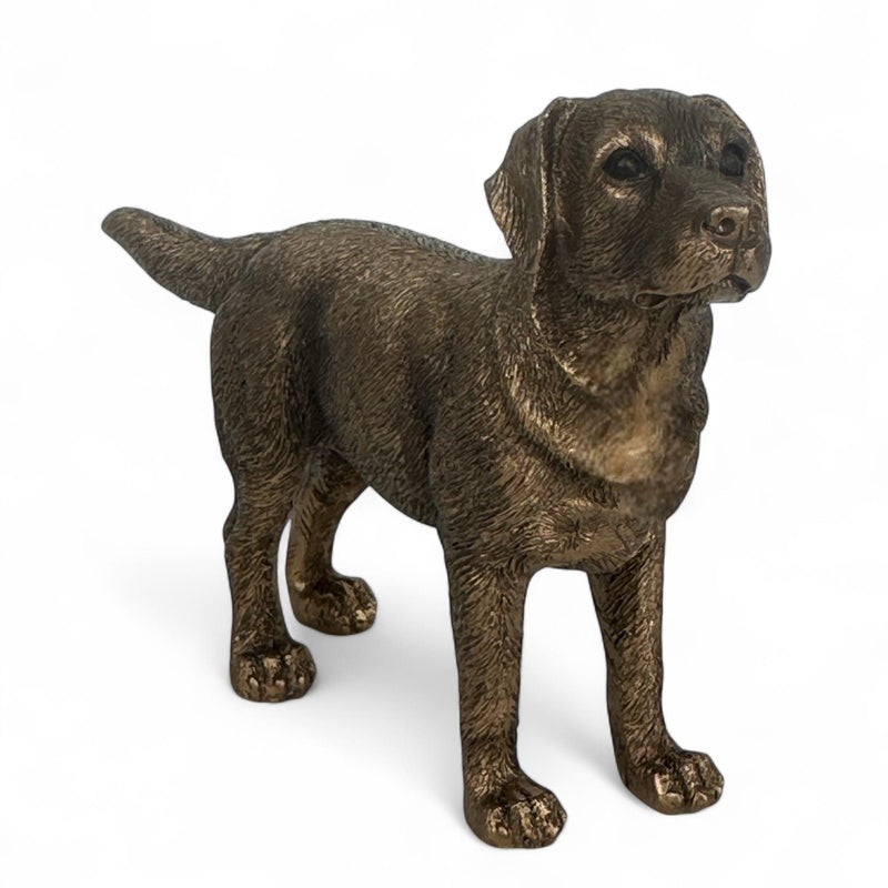 Labrador Dog figurine, Leonardo Reflections Bronzed, gift boxed