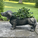 Large (53cm) Dachshund Planter Garden or Patio decoration Sausage Dog Lover Gift