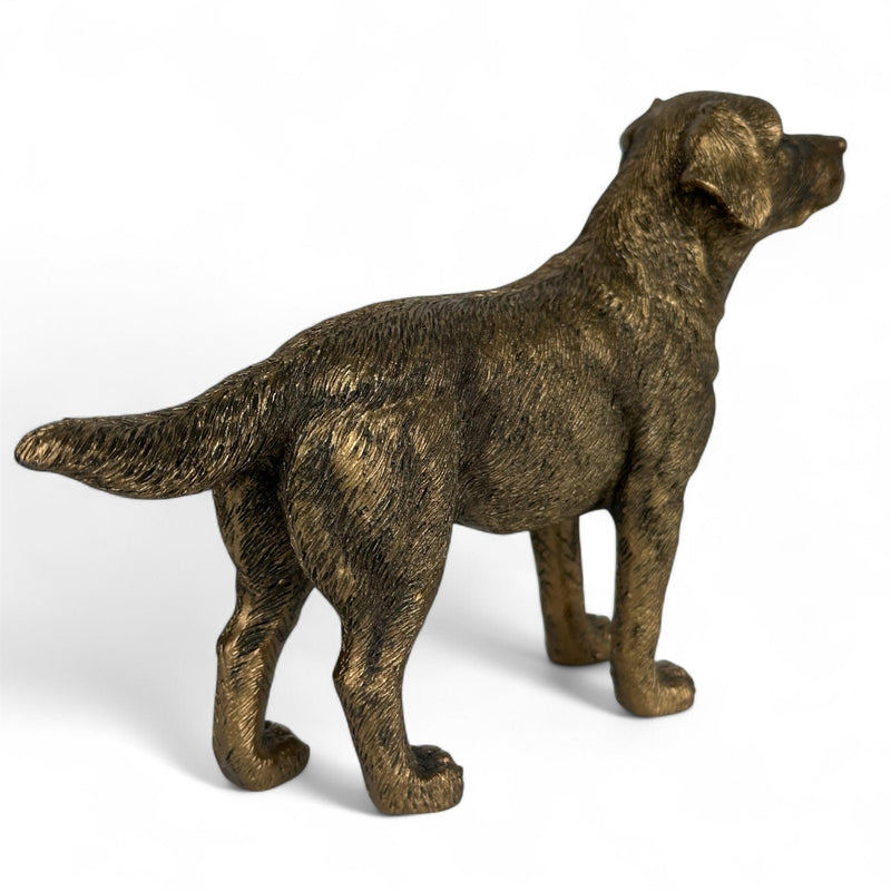 Labrador Dog figurine, Leonardo Reflections Bronzed, gift boxed
