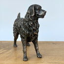 Retriever figurine in solid cold cast bronze, gift boxed