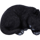 Sleeping Black Cat Figurine Ornament, Decoration Or Memorial