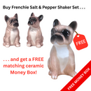 French Bulldog ceramic Salt & Pepper shaker set with FREE MONEY BOX