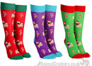 Novelty Christmas Pug socks, Unisex and One Size, quality cotton mix socks from 'Sock Society' (Copy)