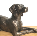 Laying Weimaraner figurine designed by Harriet Glen, in cold cast Bronze