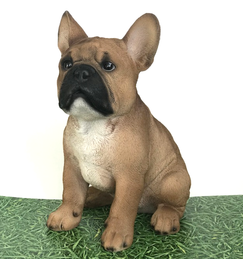 Large (29cm high) sitting Tan French Bulldog ornament figurine, great Frenchie Dog lover gift