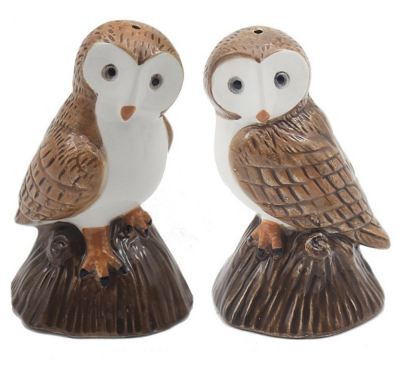 Owls design ceramic Salt & Pepper shaker set by Lesser & Pavey, boxed