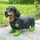 Large Dachshund in bright green Wellington Boots 'Welly Dog' figurine home or garden decoration (25cm)