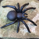 Large (15cm) heavy solid cast iron Spider decoration