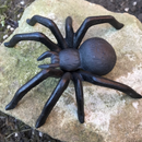 Large (15cm) heavy solid cast iron Spider decoration