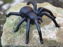 Large (15cm) heavy solid cast iron Spider decoration