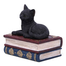 Black Cat On Witches Spell Book Figurine Witch Lover Decoration