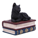 Black Cat On Witches Spell Book Figurine Witch Lover Decoration