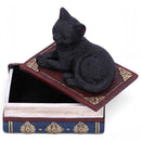 Black Cat On Witches Spell Book Figurine Witch Lover Decoration