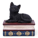 Black Cat On Witches Spell Book Figurine Witch Lover Decoration