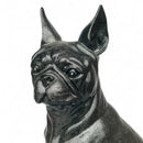 Boston Terrier Dog Figurine, Large 32cm high, Black with Silver Sparkle Finish