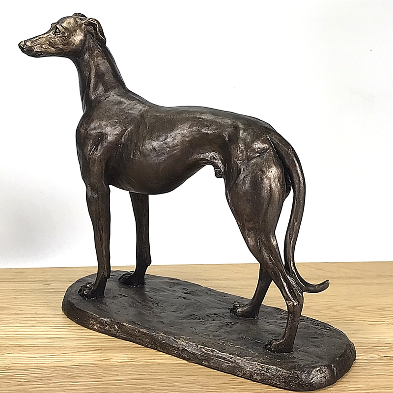 'Gus' large bronze effect standing Greyhound figurine by Harriet Glen