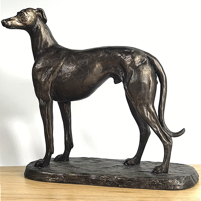 'Gus' large bronze effect standing Greyhound figurine by Harriet Glen